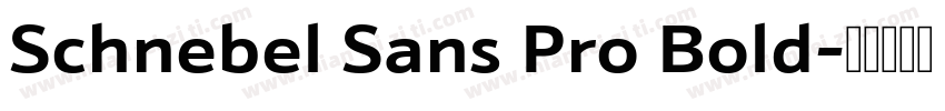 Schnebel Sans Pro Bold字体转换